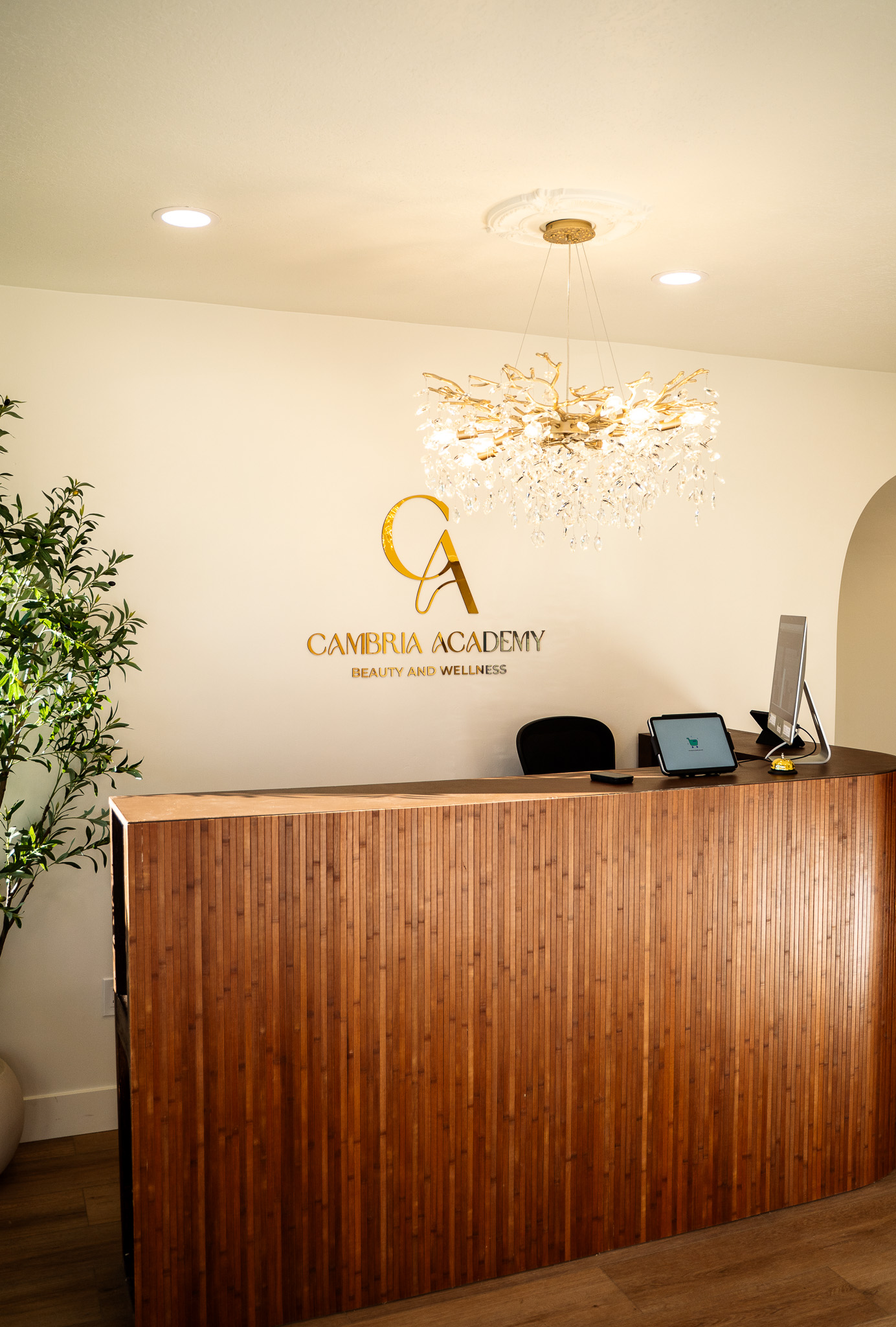 The welcoming Cambria Academy reception area